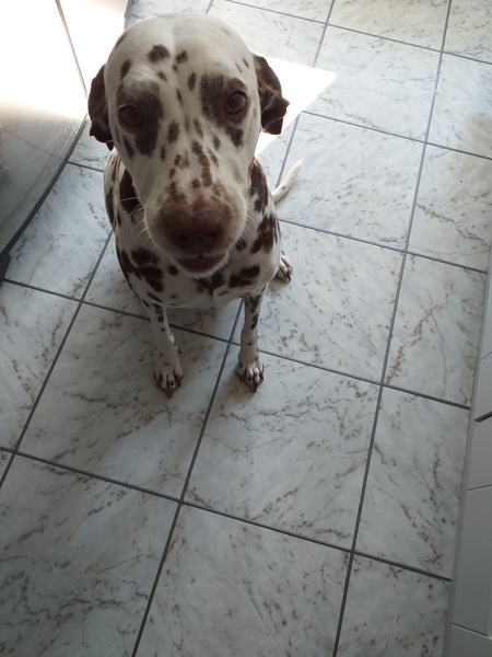 Let’s have a pet picture thread