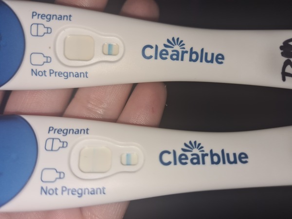 IVF January/February  2021? continued