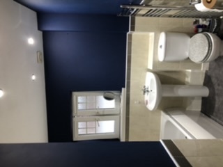 Best navy for a feature wall?