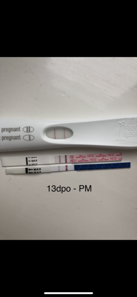 Show me your 13/14dpo lines?