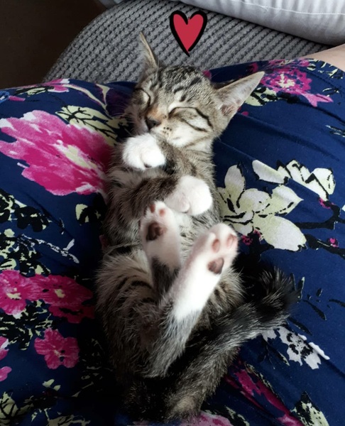 Name help