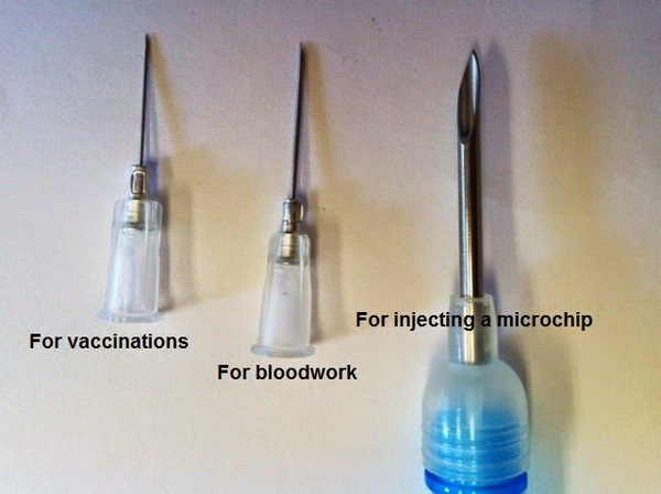 Friend thinks the vaccination is government's way of micro chipping us sll