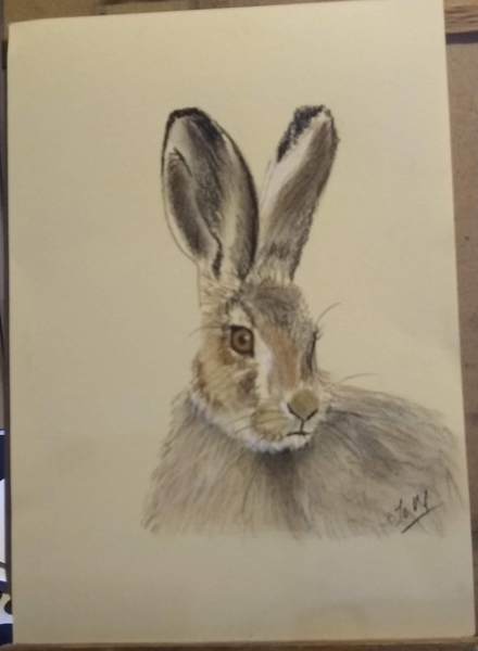 Art Prints vs Original Drawing - Pricing