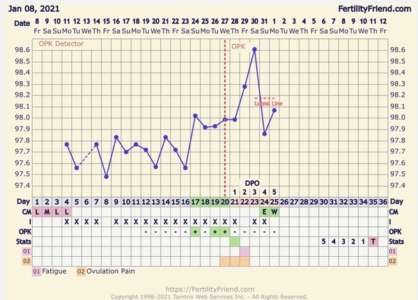 When did I ovulate? If at all? Chart help please