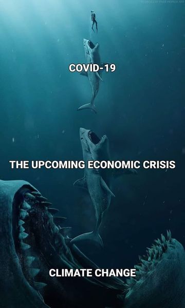 Do people really think all will be ok in the next few years ?