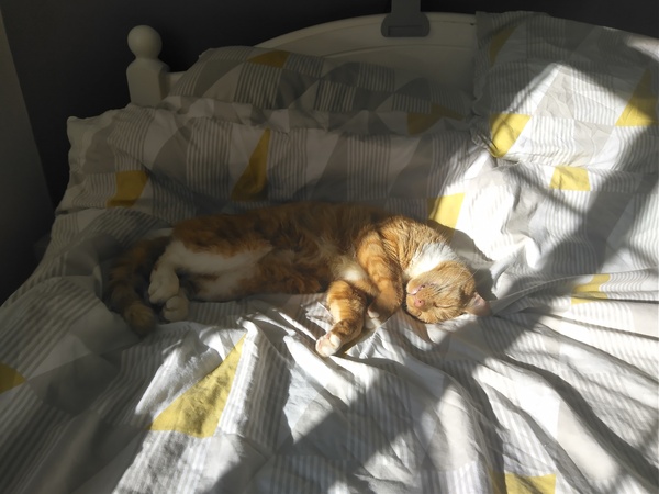 Trapped toddler parents of the fabled Winter 2020/2021. Puddle suits at the ready..hello Christmas!