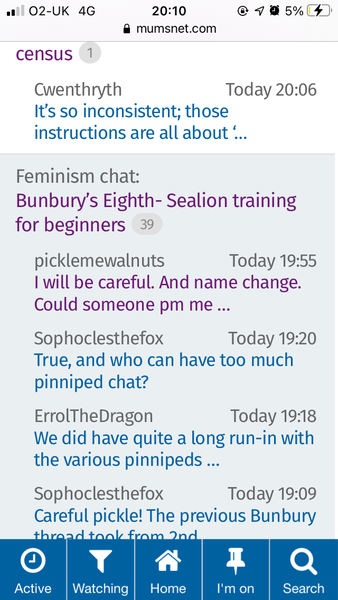 Bunbury’s Eighth- Sealion training for beginners