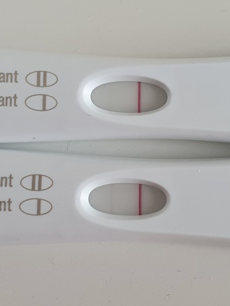 Feb Bus 2021 - no more TRYING to conceive, let's blimin do this!