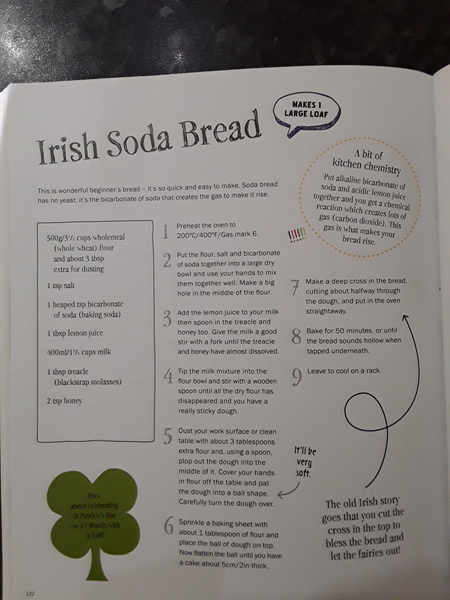 Cookbook suggestions for an autistic 10 yr old (pref veggie)?