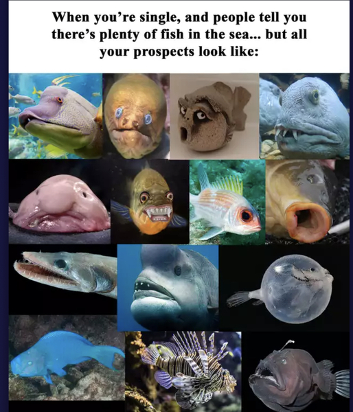 To think there isn’t always plenty of fish in the sea?