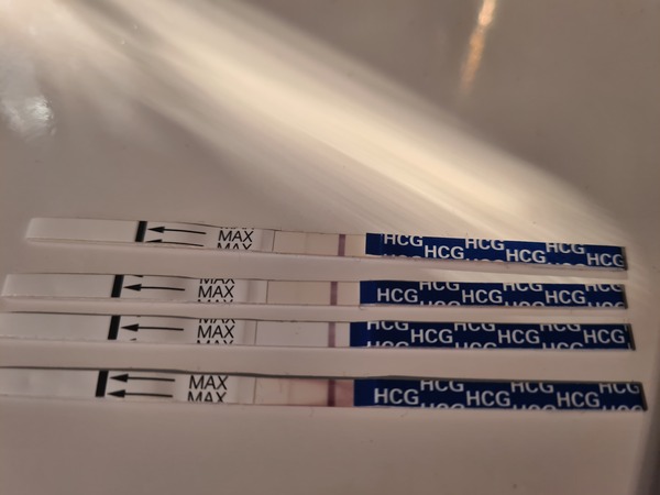 IVF January/February  2021? continued