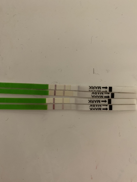 Opk still dark after ovulation