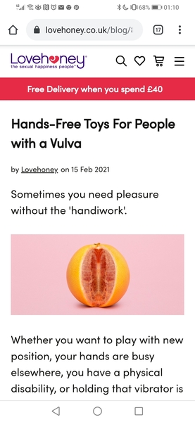 Lovehoney blog, people with vulvas.