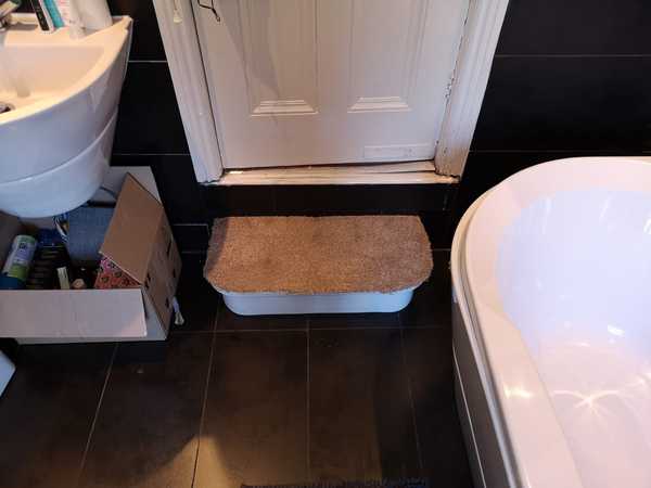 Anyone have steps down into their bathroom?
