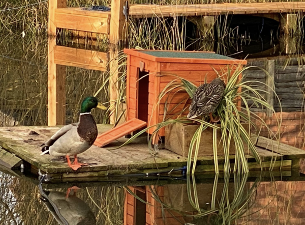 NOT what I expected to wake up to this morning...