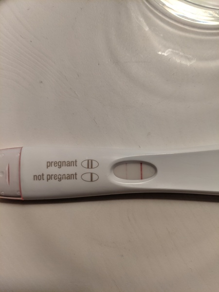 Ovulation due 27th January / Period due 10th February