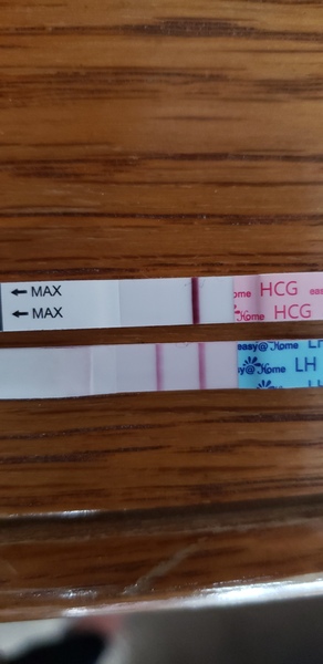 Am I ovulating or is this a cross reaction on an OPK?