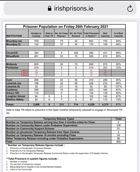TW in Limerick prison wants their sentence reduced