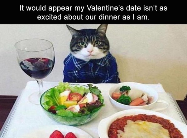 To be cringing at all the look how in love we are valintines posts on social media