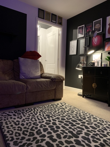 Has anyone painted their walls black?