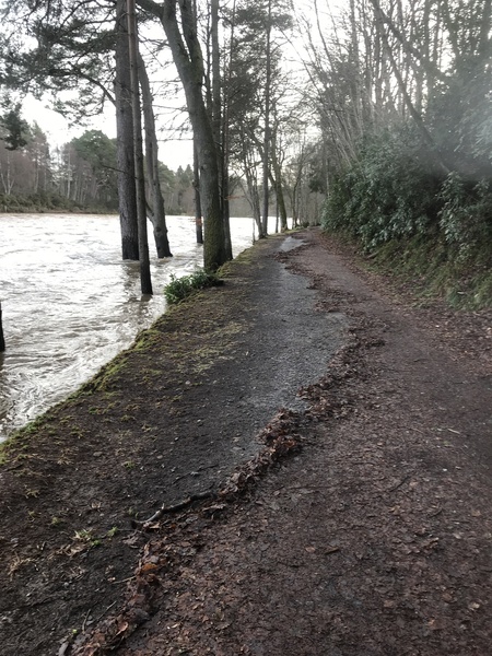 Running Thread 16