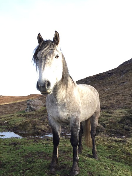 Week 3 - Jan '21 Low Carb Bootcamp - time for Light?
