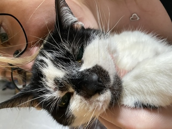 Harry - help needed!