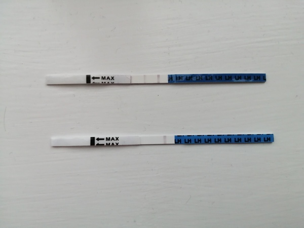 Chemical Pregnancy and ovulating straight after?