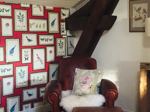 Wallpaper with birds, (ideally with a bit of teal)?