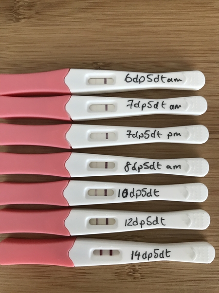 BFN after FET at 5dp5dt - any success stories?