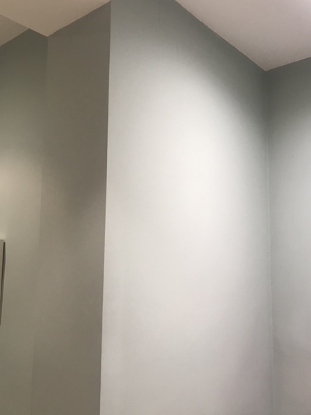 A greens grey paint, but for a North facing room