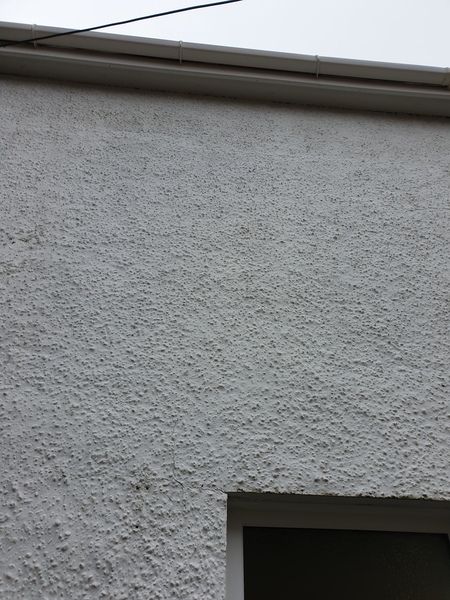 Damp Help