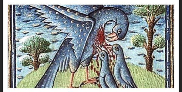 Breastfeeding is now chestfeeding, Brighton’s trans-friendly midwives are told