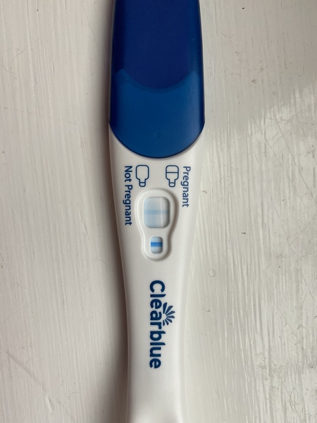 IVF January/February  2021? continued