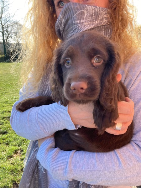 Puppy Survival Thread - January - February