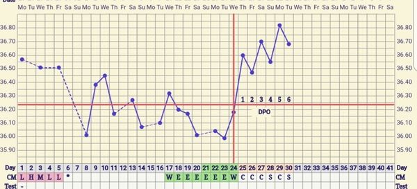 Anyone 3-6dpo and want to share ridiculous symptom spotting / poas urges?