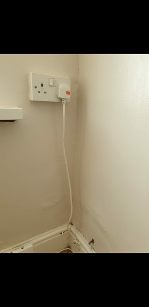 Damp Help