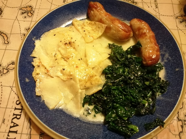 Week 3 - Jan '21 Low Carb Bootcamp - time for Light?