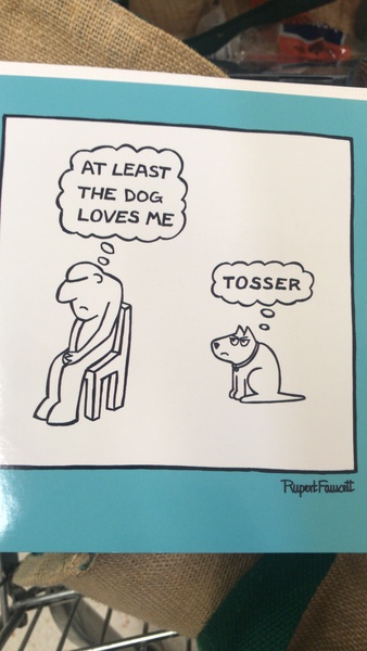 To feel somewhat upset with this Valentine's card from my husband?