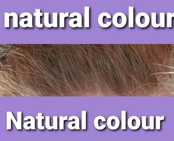 Being brave.. hair advice & photo included..