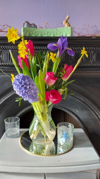 Spring is coming. Anyone else want to look at cheery photos?