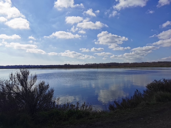 Any Witches here? Part 13