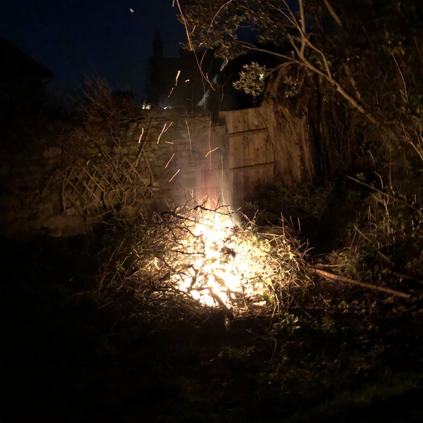 ADs picnic in the park with Twinkle the Tortoise