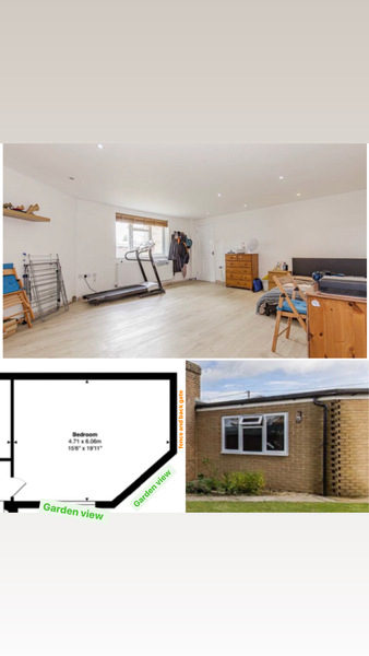 Help me plan a possible new roof/ location of windows/doors