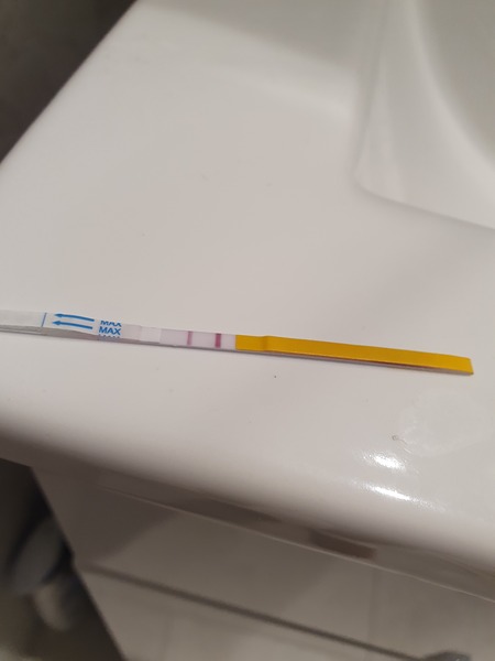 2nd Miscarriage in a Row