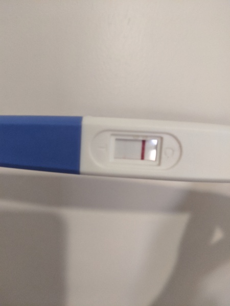Feb Bus 2021 - no more TRYING to conceive, let's blimin do this!