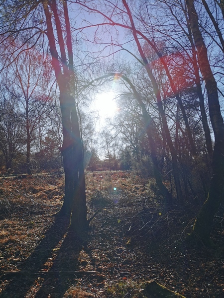 Running Thread 16