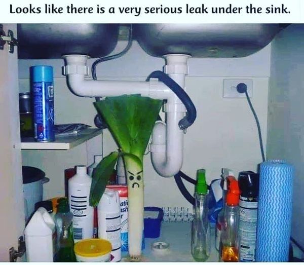 To want to know the small things you do to make yourself laugh