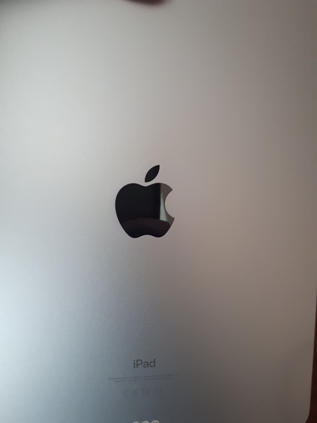 Has anyone bought the new iPad Air in sky blue?