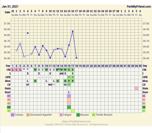 Does this temp dip mean I prob haven't ovulated yet?